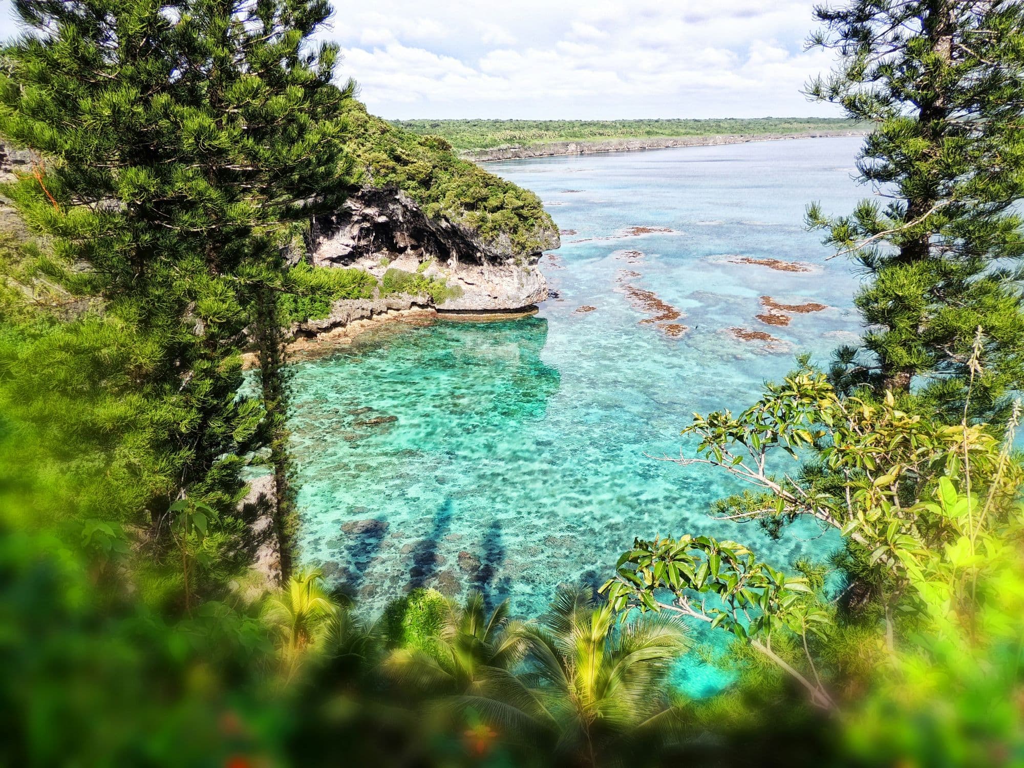 Nickel and Dimed: The Green Metal Gamble in New Caledonia